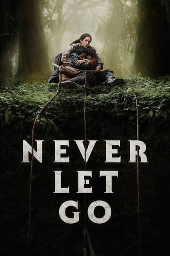 Watch Never Let Go online